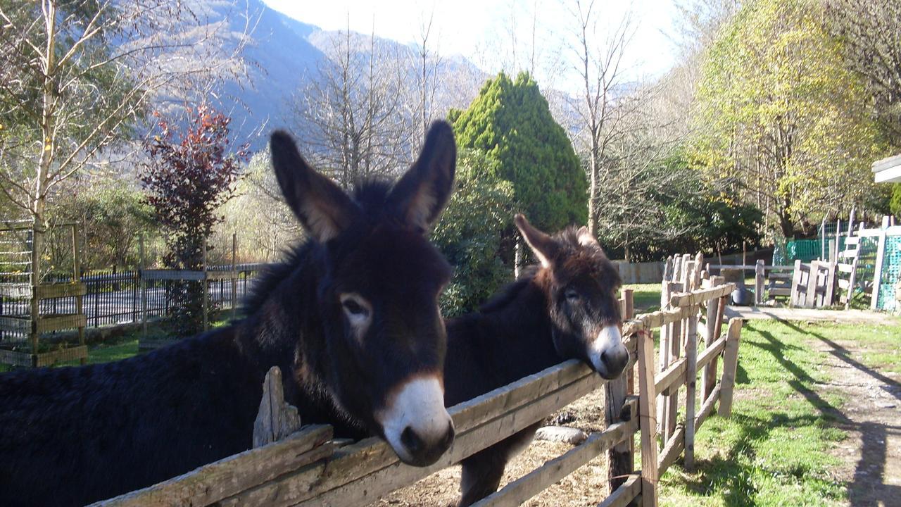 B&B Valle Orco Sparone Bagian luar foto